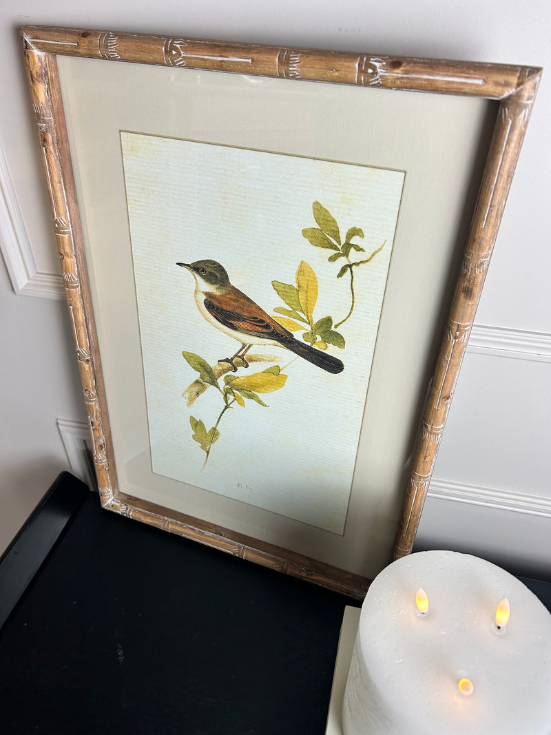 Wooden framed sparrow bird pictures prints 4 styles