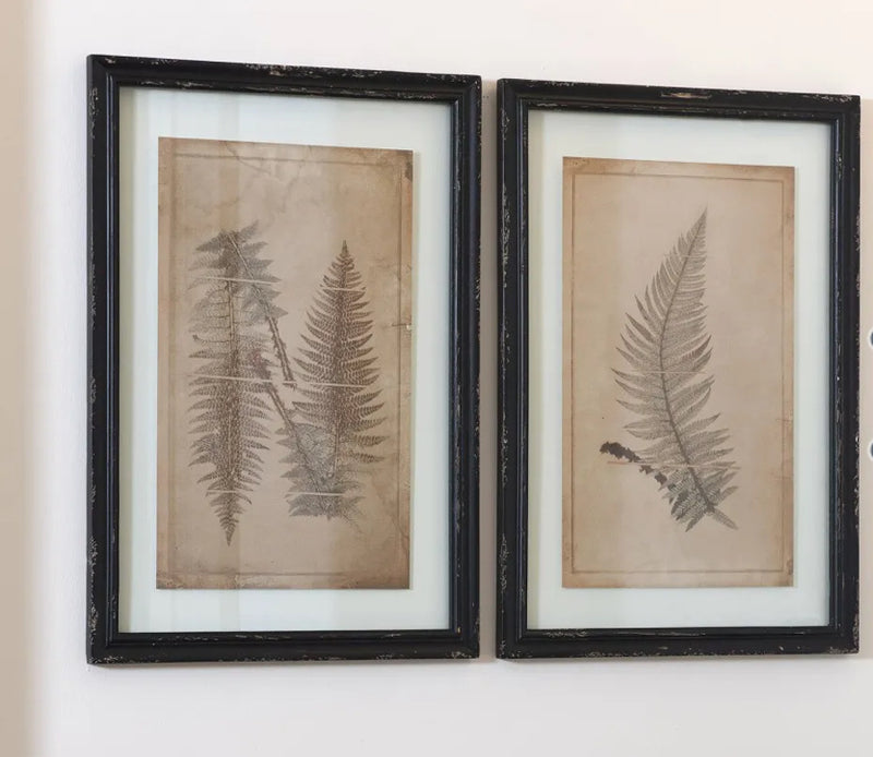 Black Framed Glazed Fern Prints 4 styles