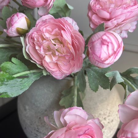 Soft pink ranunculus stem spray 50cm