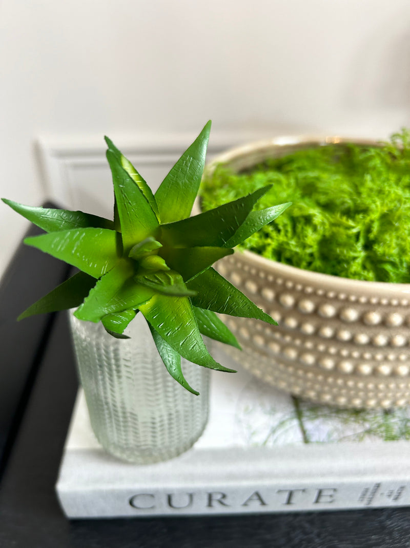 Aloe Vera succulent pick stem