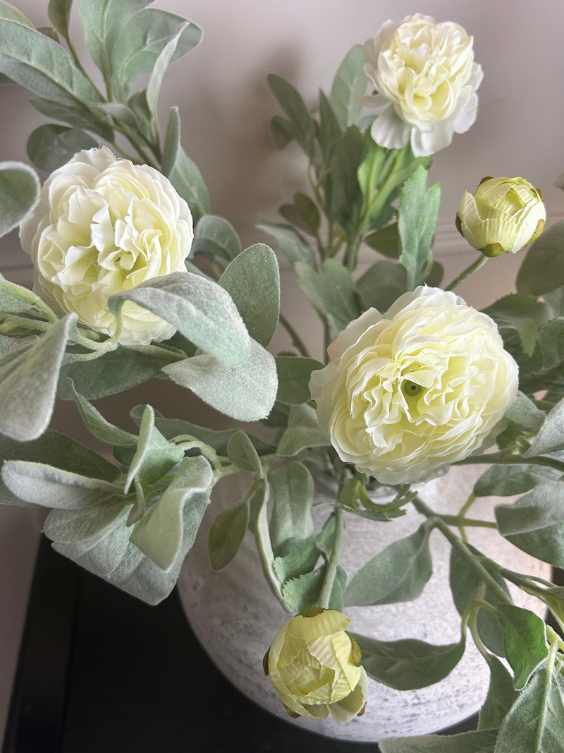 Cream ranunculus stem spray 50cm