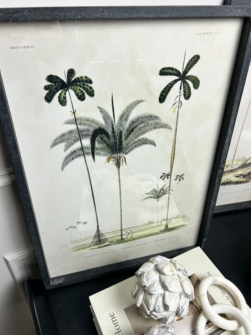 Framed palm prints 56x42cm 2 styles