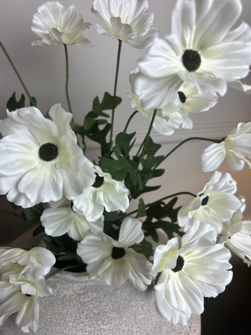 Wild meadow poppy cream 48cm