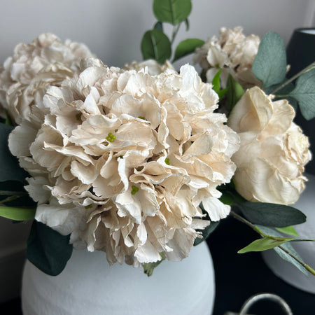 Oyster blush Ruffled Hydrangea Stem