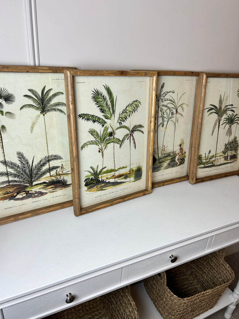 Palm print with bamboo frame 4 styles