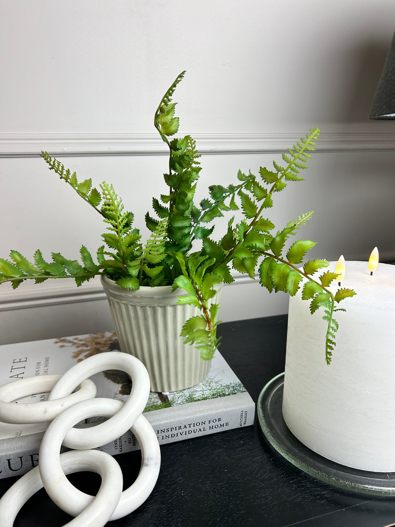 Natural Green Wild Fern Bunch Stem real feel