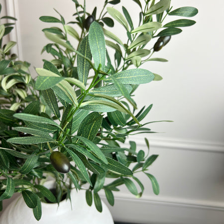 Olive Branch Stem 85cm