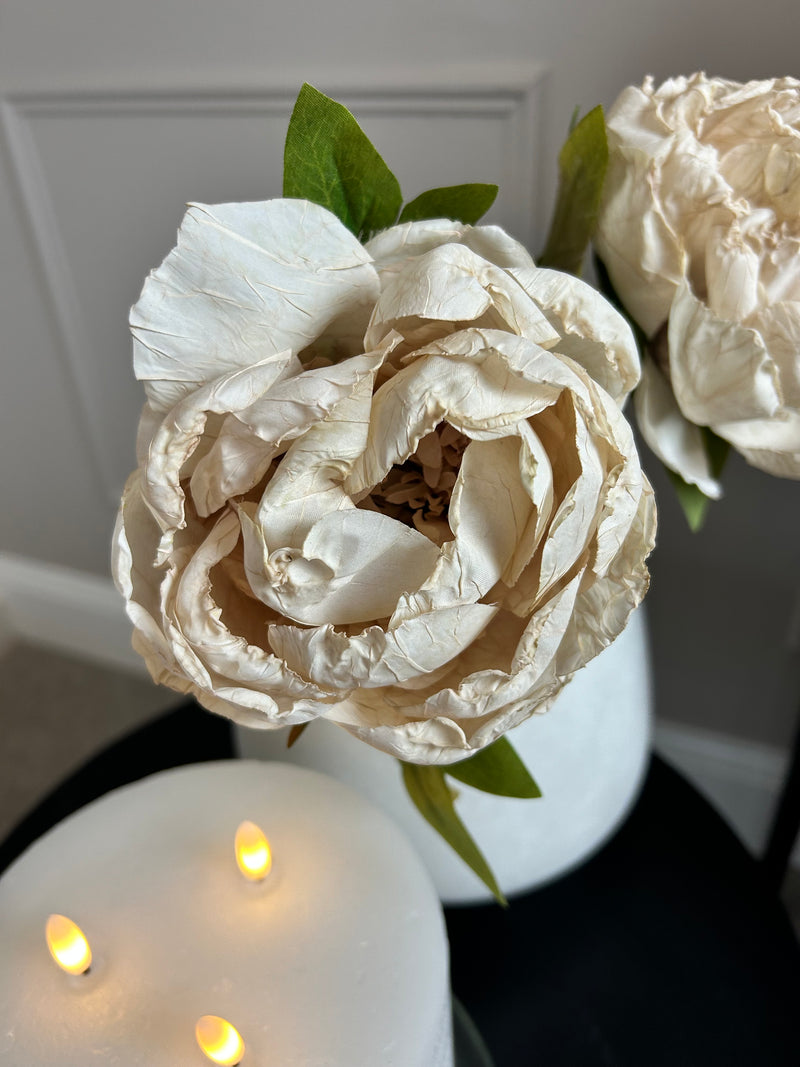 Oyster Dried Touch closed Peony