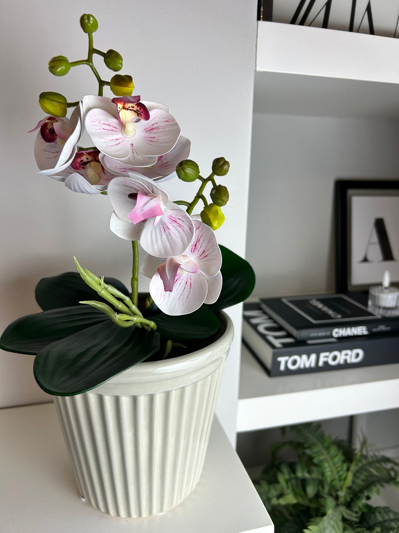 Phalaenopsis Orchid Spray plant pick Bunch 2 Colours