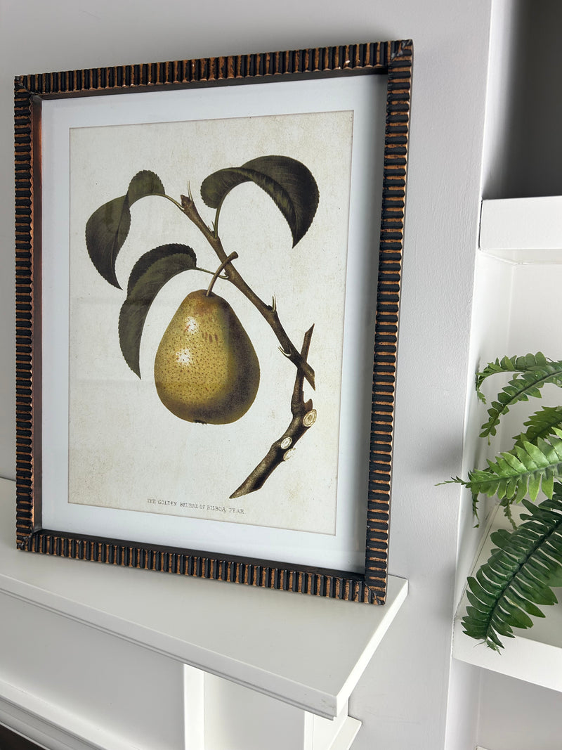 Textured brown bronze brass look Framed pear print 4 styles