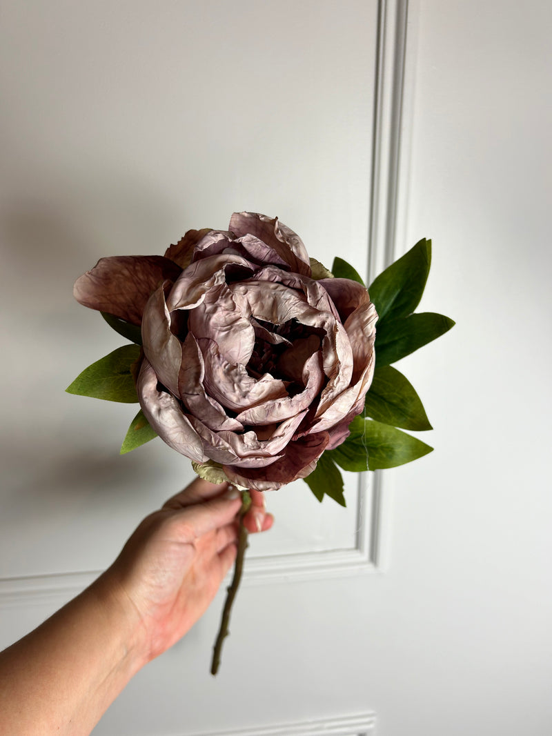 Dried real feel mauve peony 48cm