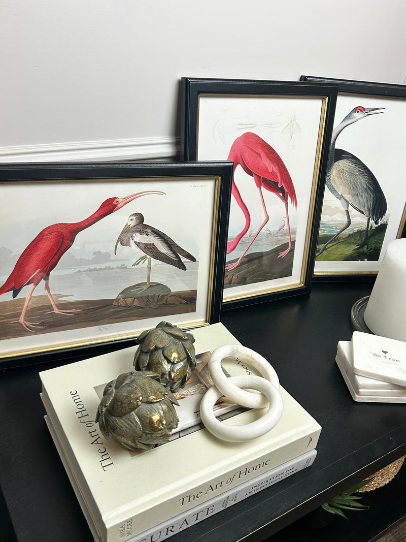 Black and Gold Framed Bird Prints 3 styles