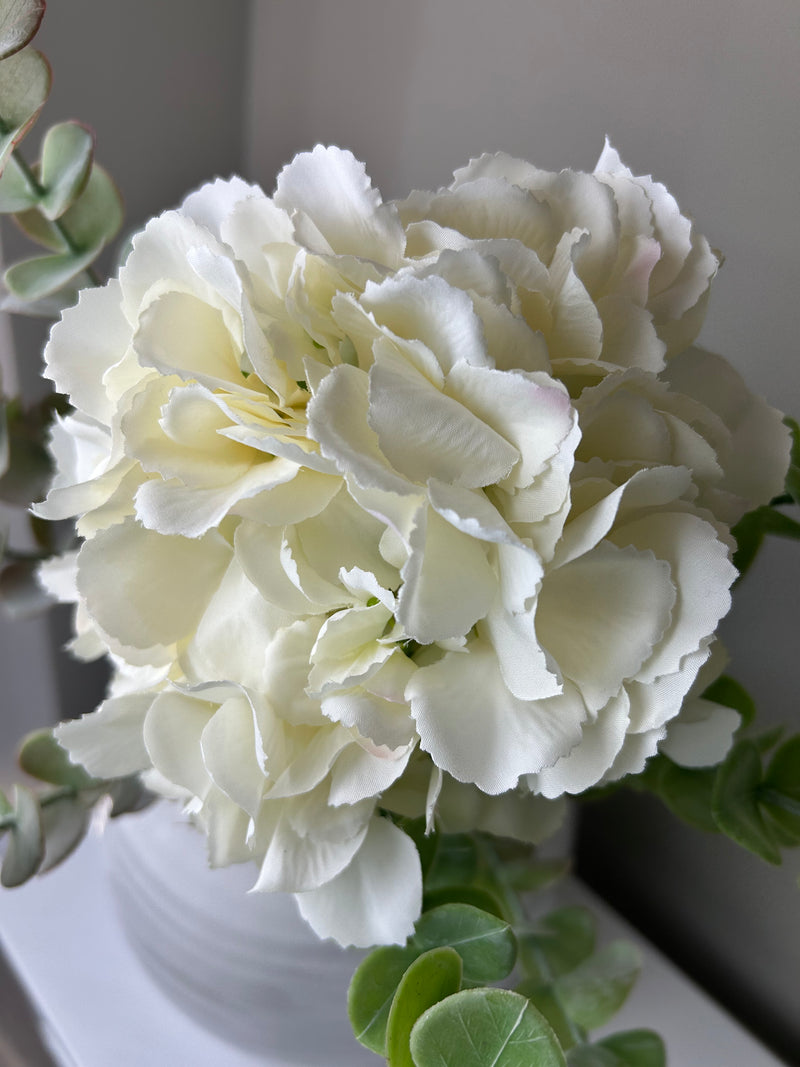 Tall ivory cream hydrangeas 80cm