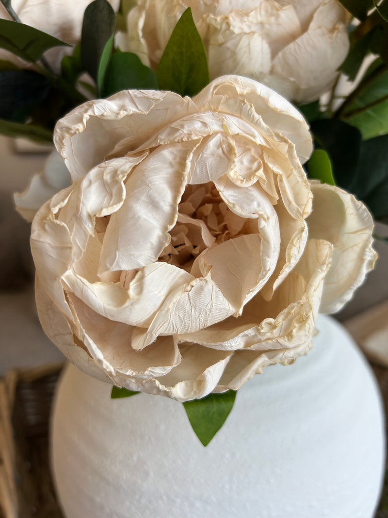 Oyster Dried Touch closed Peony