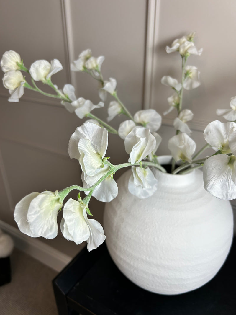 Off White Sweet Pea Tall Stem