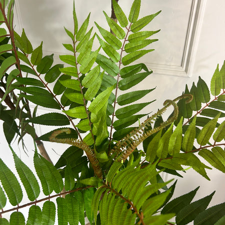 Large Potted Fern triple Tree 170cm Tall