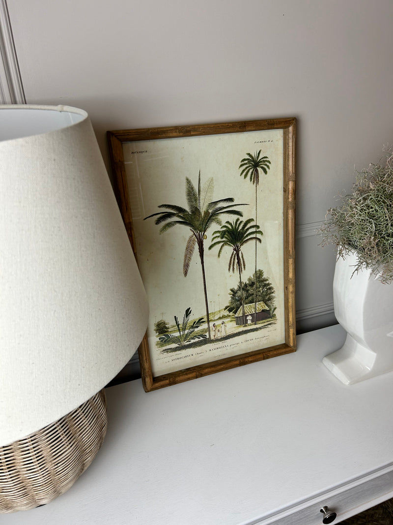 Palm print with bamboo frame 4 styles