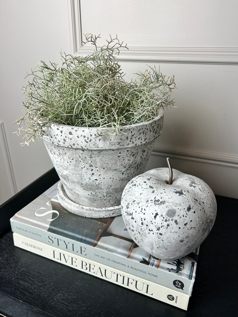 Aged Stone Plant Pots With Plate 2 Sizes