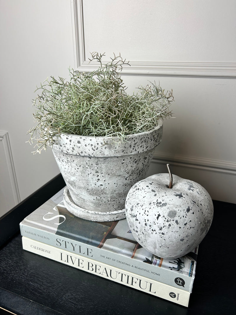 Aged Stone Plant Pots With Plate 2 Sizes