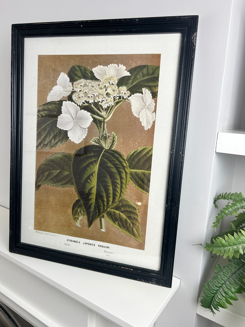 Black framed floral prints 4 styles