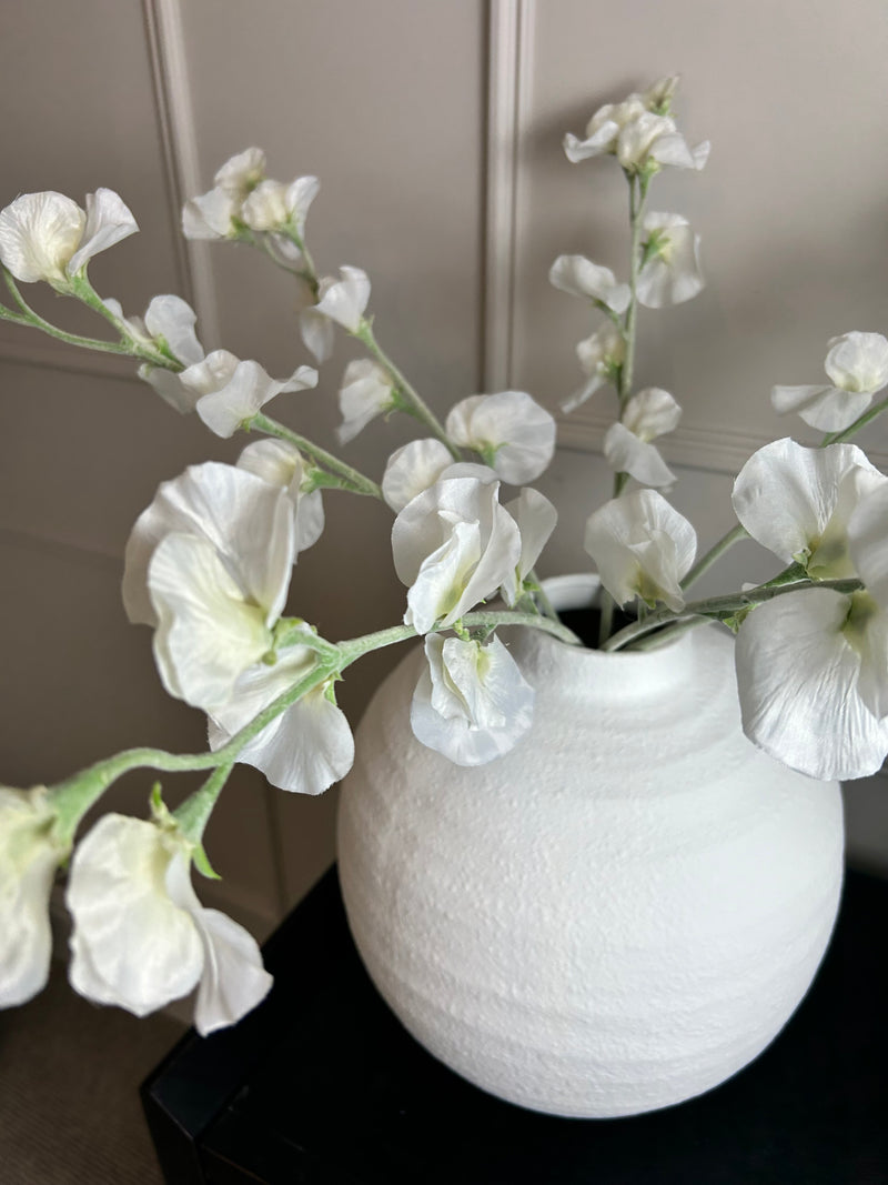 Off White Sweet Pea Tall Stem