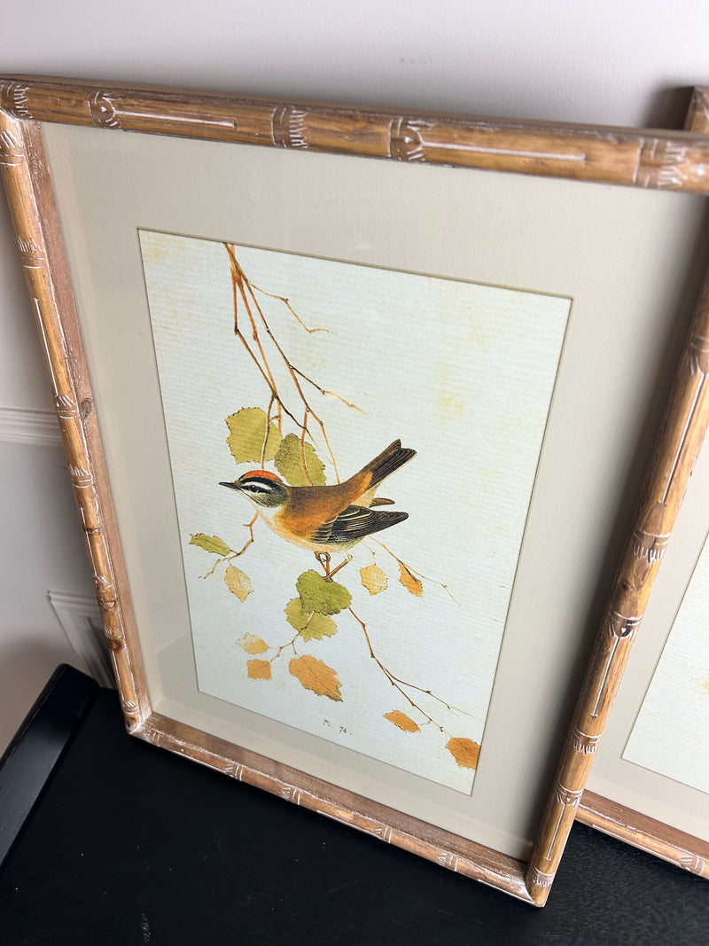 Wooden framed sparrow bird pictures prints 4 styles