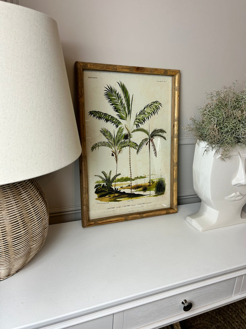 Palm print with bamboo frame 4 styles