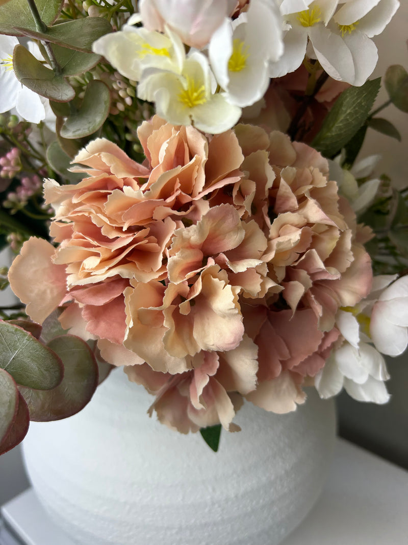 Red French hydrangea