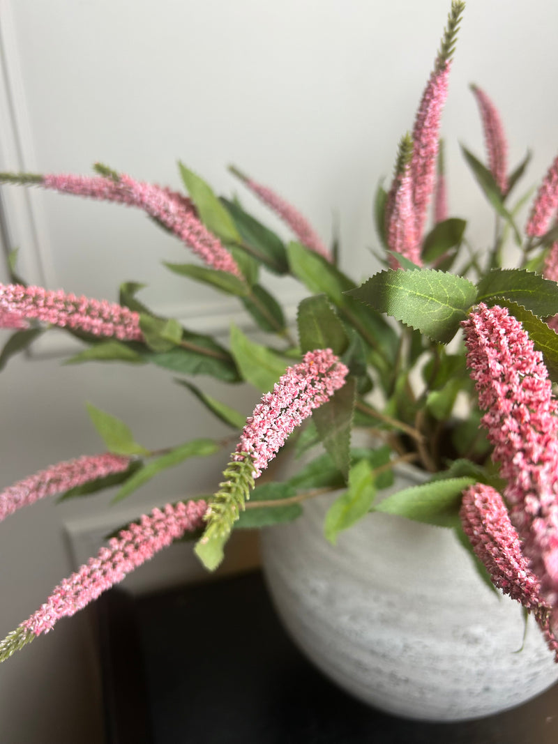 Pink Veronica stem 70cm