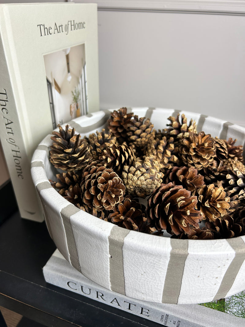 Bag of pine cones acorns