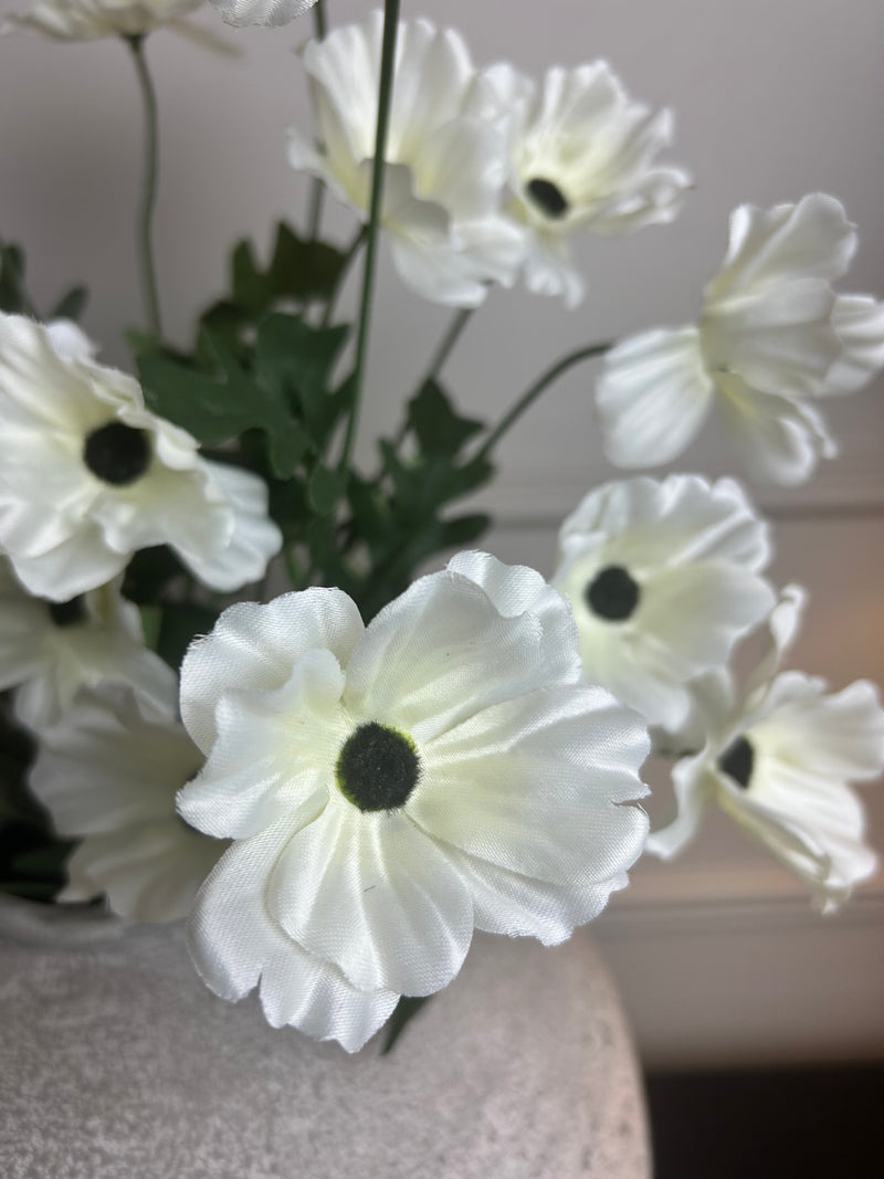 Wild meadow poppy cream 48cm