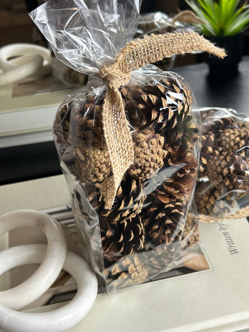 Bag of pine cones acorns