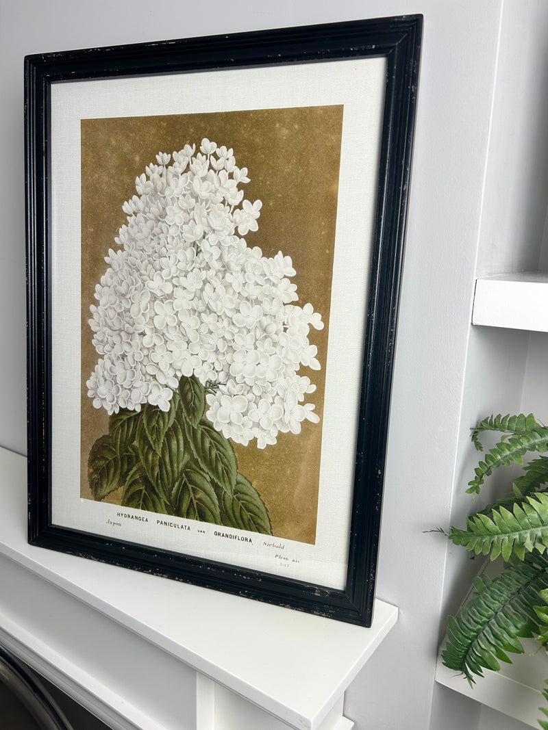 Black framed floral prints 4 styles