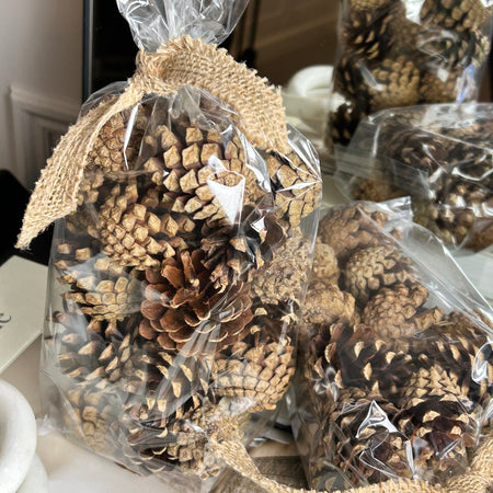 Bag of pine cones acorns