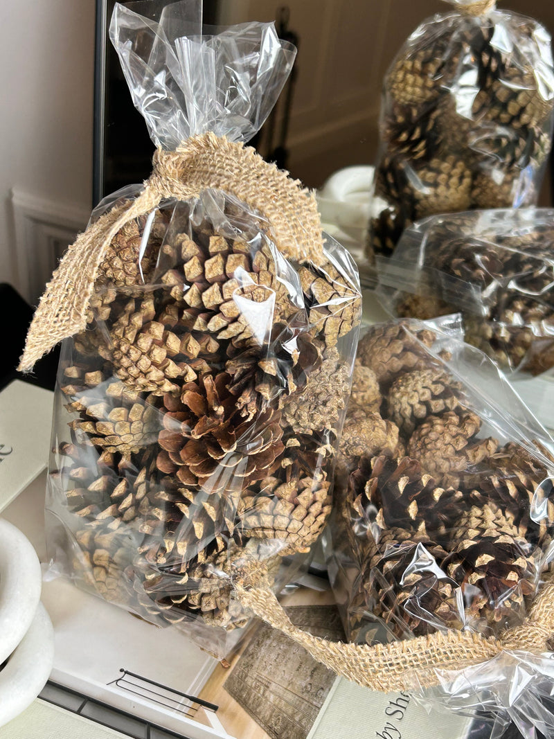 Bag of pine cones acorns