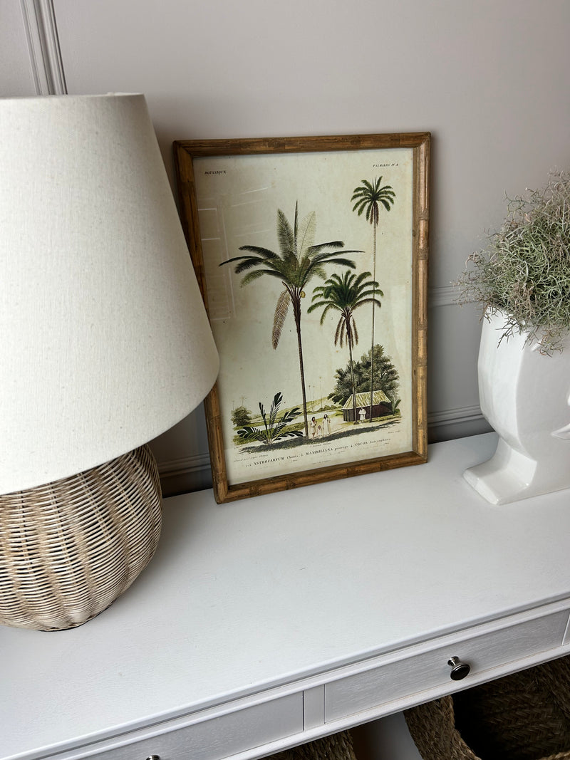 Palm print with bamboo frame 4 styles