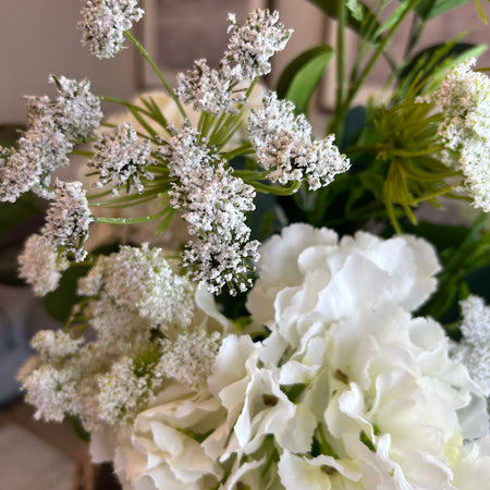 White Cow Parsley Spray Stem