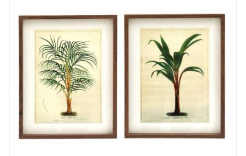 Set of two palm prints 40x30