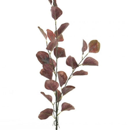 Single Burgundy Dollar Eucalyptus Stem 72cm