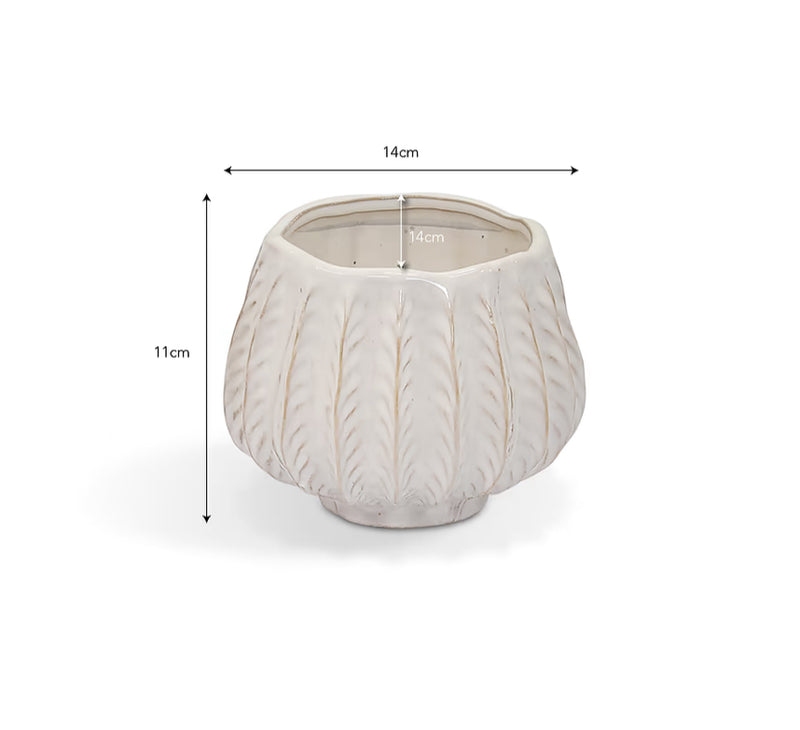 Osmington textured off white plant pot 14cm