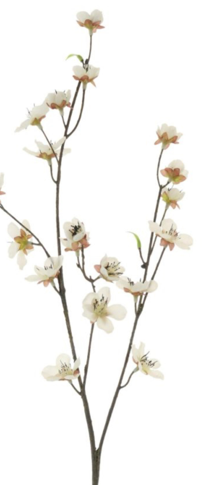 Cream Japanese silk cherry blossom 68cm