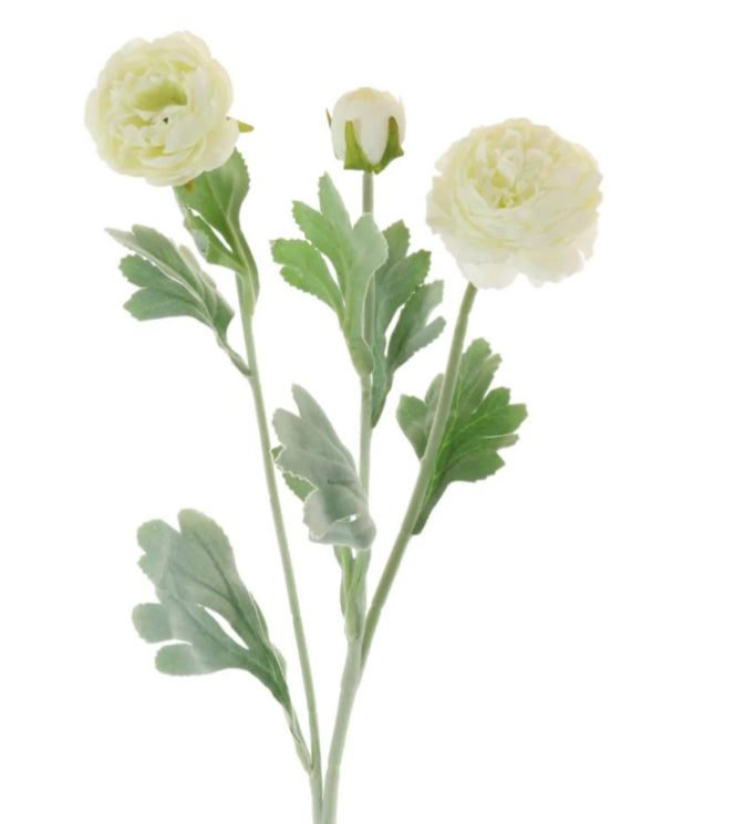 Cream ranunculus stem spray 50cm