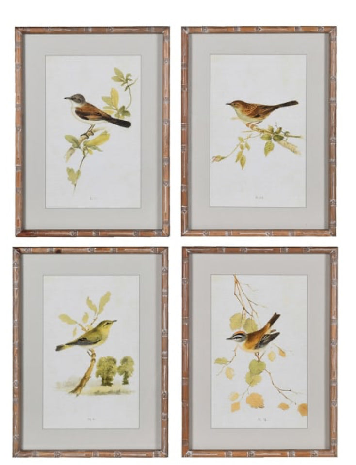 Wooden framed sparrow bird pictures prints 4 styles