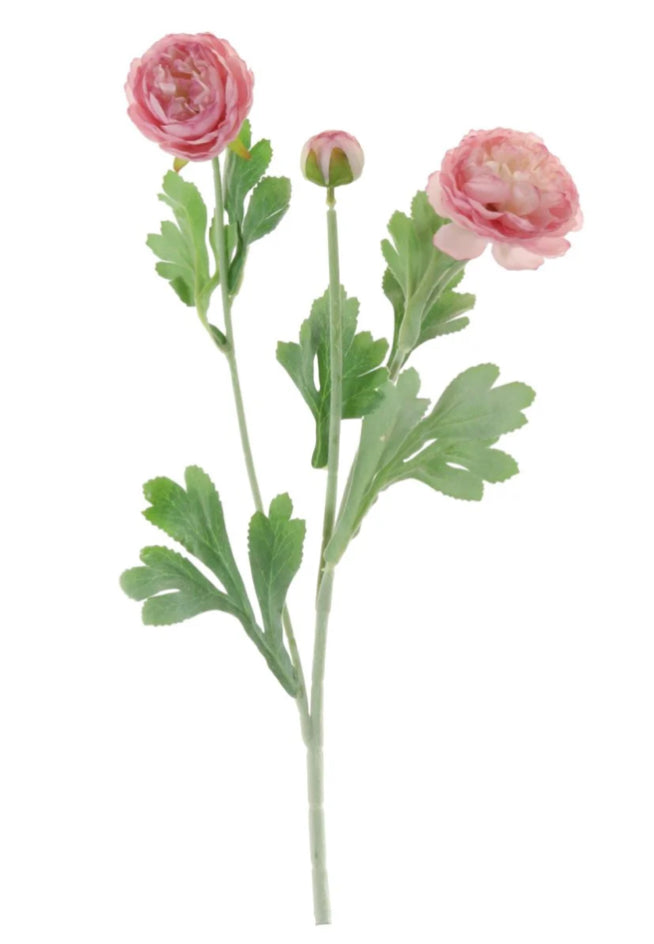 Soft pink ranunculus stem spray 50cm