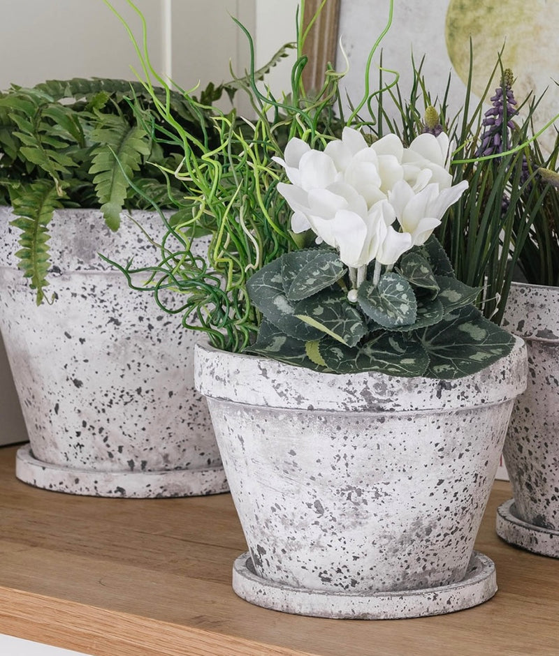 Aged Stone Plant Pots With Plate 2 Sizes