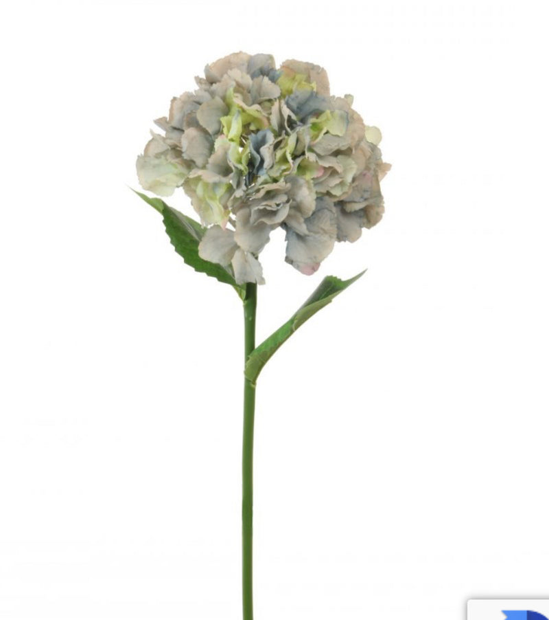 Blue grey green French hydrangeas 56cm