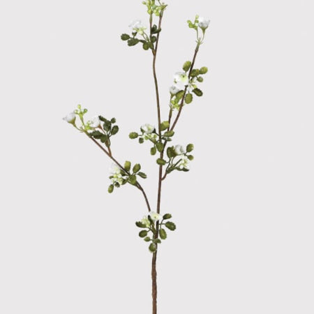 White wax flower stem 65cm