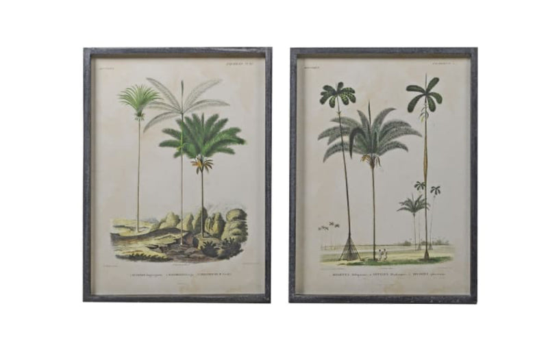 Framed palm prints 56x42cm 2 styles