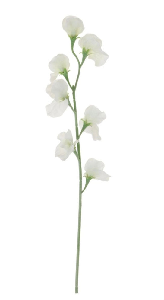 Off White Sweet Pea Tall Stem