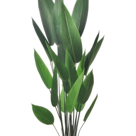 Tall Potted Palm Tree Plant 125cm Tall